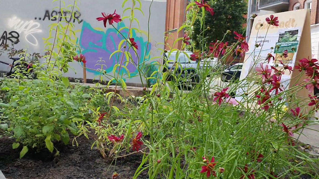 Community Garden Davenstedter Straße