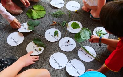 Kids for Nature – ein nachhaltiger Sommer