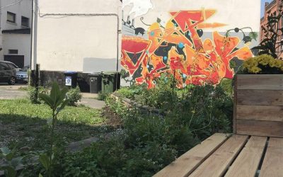 Community Garden die Zweite