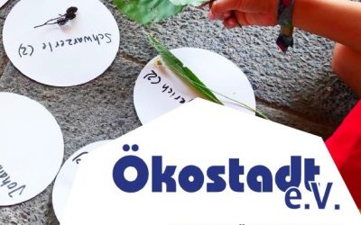Unser Projektrückblick 2020 zum herunterladen