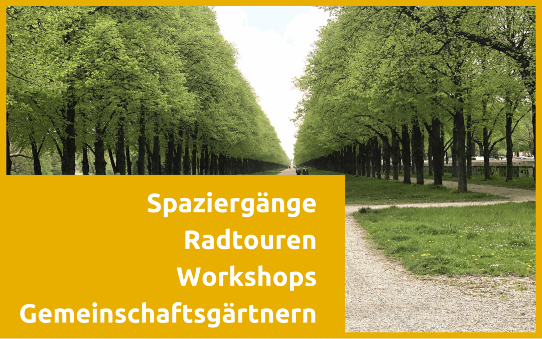 Neues Veranstaltungsprogramm