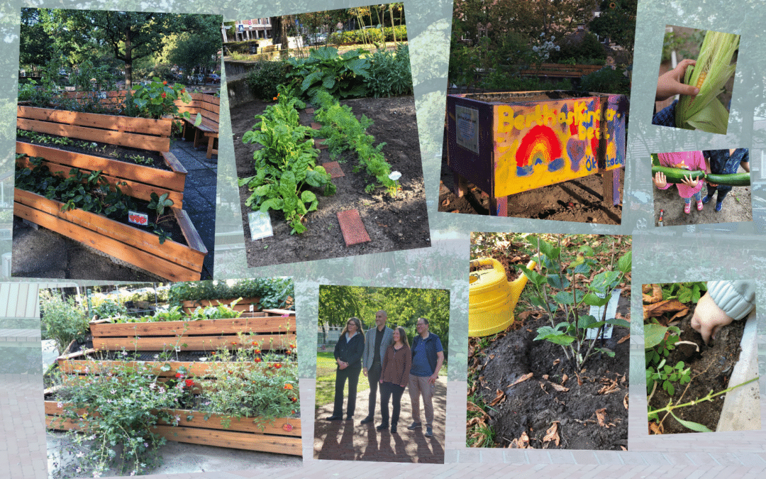 Berthas Beete – neue Beete, neuer Platz